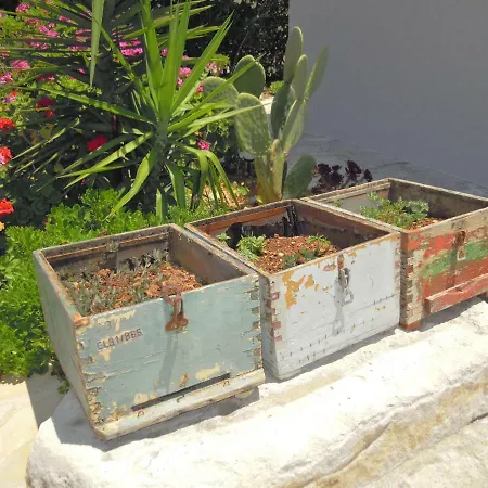 Apartamento Petaloudes